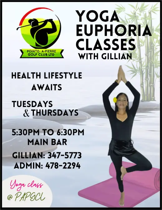 Yoga Euphoria Classes with Gillian - PAPGCL